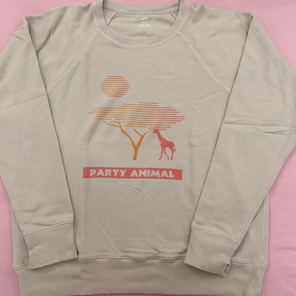 Aerie Taupe Casual Sweatshirt